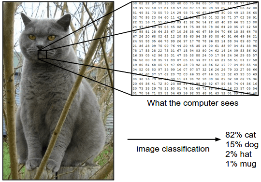 How to use ML.NET Model Builder for Image Classification - DevInDeep