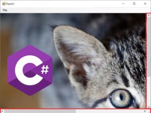 Scrollable PictureBox Control
