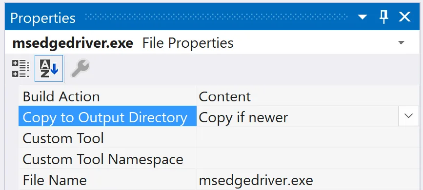 Copy Selenium Web Driver on build action